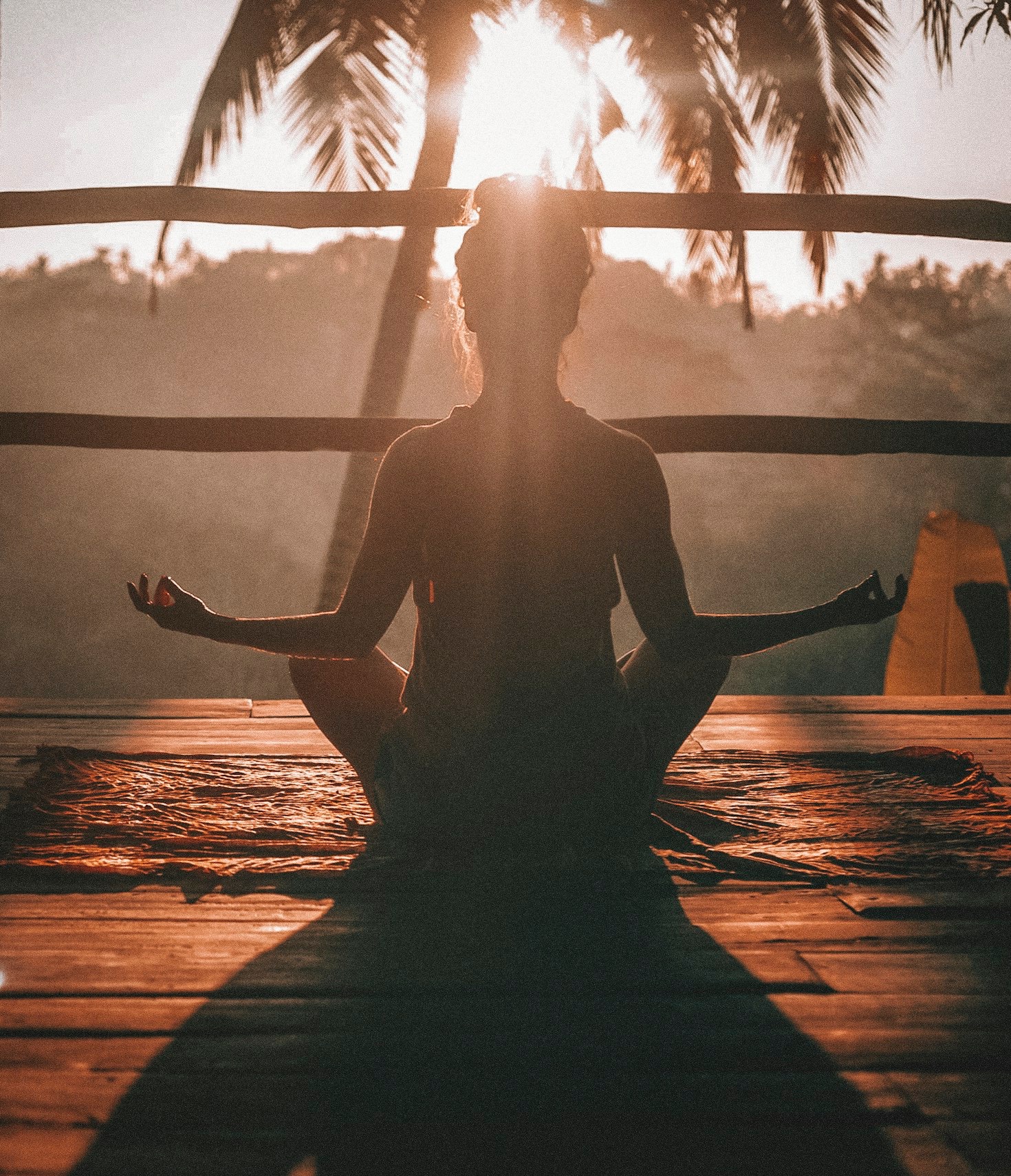 The Journey to Becoming a Conscious Being