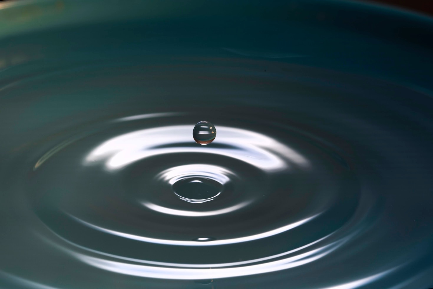 The Art of Mindful and Conscious Living