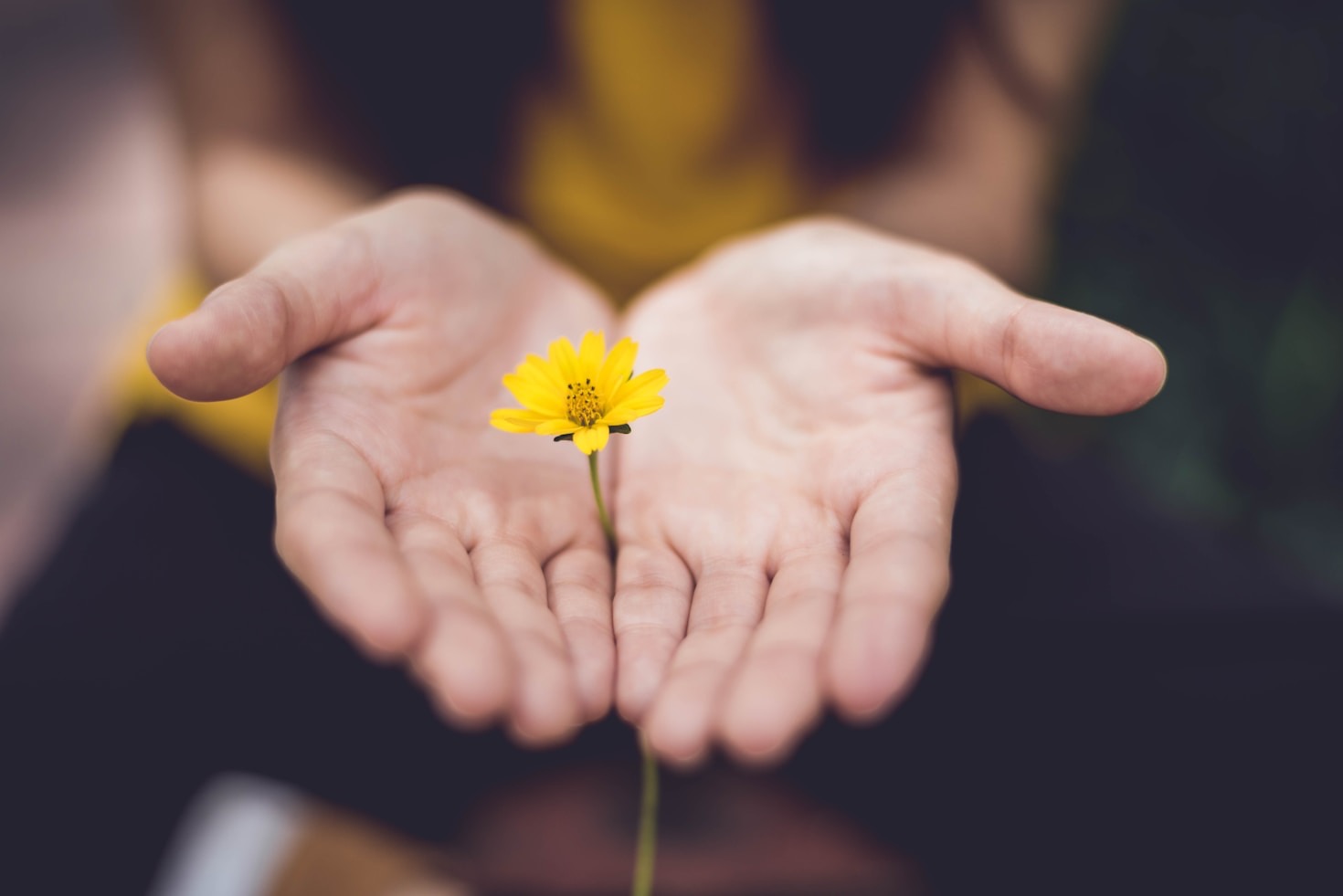Insights from Teachings of Awareness Masters