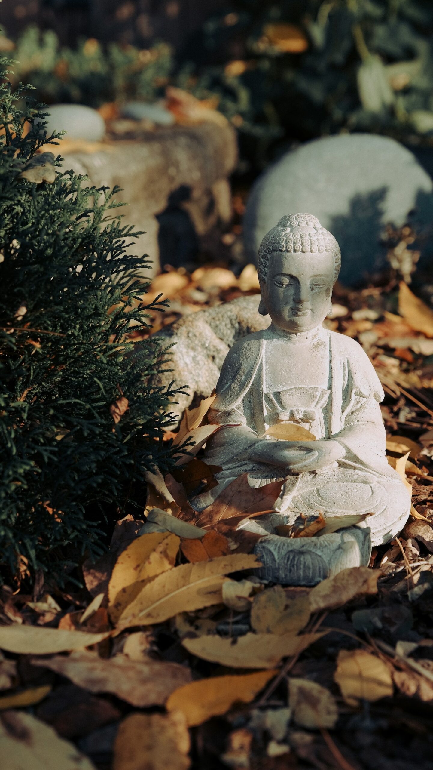 Transformative Practices for Self-Discovery